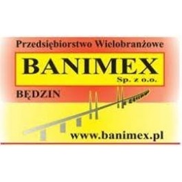 logo-Banimex